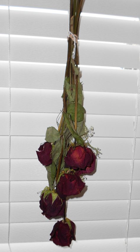 Priya Core, Flower Wall Decor Diy, Hanging Rose, Dead Flowers, Dried Flowers Diy, Exhibition Ideas, Dried Roses, Drying Roses, Dark Home Decor