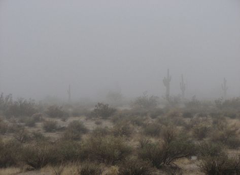 Creepy Desert, Desert Grunge, Color Theme, Color Themes, Wizard, Google Search, Collage, Green, Pins