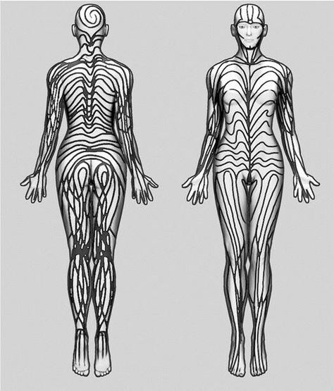 Blaschko’s Lines Blaschko Lines, Mind Explosion, Red Moles, Strange Stories, Cell Line, Fluid Dynamics, Cognitive Science, Figure Study, Leopard Spots