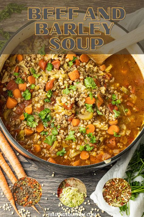 Barely Soup, Beef And Barley Soup, Barley Soup Recipe, Beef And Barley, How To Cook Barley, Comfort Soup Recipes, Beef Soup Recipes, Soup With Ground Beef, Beef Barley