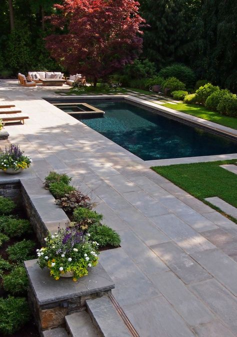 Simple Pool, Interior Landscape, Pool Landscape Design, Modern Backyard Landscaping, Modern Landscape Design, Modern Backyard, Landscape Plans, Landscaping Tips, Backyard Pool Designs