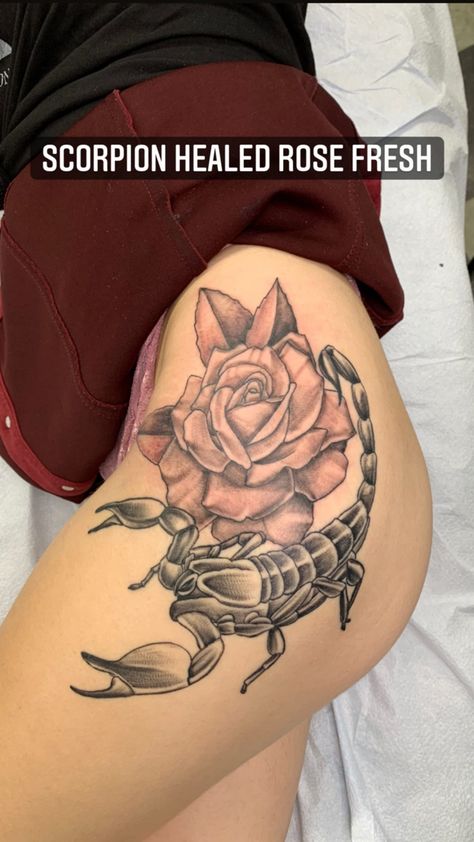 Hip Tattoos Women Scorpion, Hip Scorpion Tattoo, Scorpion Tattoo Thigh, Scorpion Tattoo Feminine Outline, Scorpion Hip Tattoo, Scorpion Tattoo On Thigh, Rose And Scorpion Tattoo, Scorpion Thigh Tattoo, Scorpion Tattoo Feminine