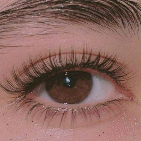 Brown Eyes Aesthetic, Bentuk Alis, Pretty Brown Eyes, Beautiful Brown Eyes, Brown Eyed Girls, Forbidden Love, Beauty Goals, Aesthetic Eyes, Longer Eyelashes