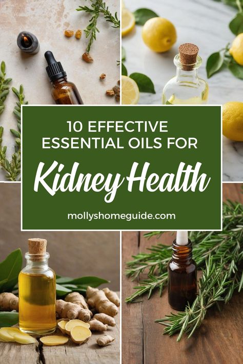 Discover the best essential oils for kidney health with these simple recipes and home remedies. Whether you are looking to support kidney function, alleviate kidney pain, or prevent kidney stones, essential oils can offer natural relief. Incorporate essential oils for urinary tract infection or detox purposes to promote overall wellness. Explore the power of aromatherapy and holistic healing in promoting kidney health through these top-rated essential oils specifically curated to support your ki Essential Oils For Kidney Health, Improve Kidney Function Natural, Natural Remedies For Kidney Infections, Oils For Kidneys, Essential Oils For Kidneys, Remedies For Kidney Pain, Kidney Stone Remedies, Kidney Stone Pain Relief, Clean Kidneys