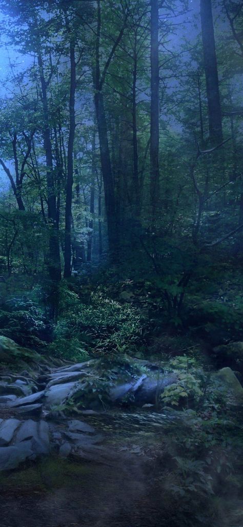 Magical Forest At Night, Midnight Forest Aesthetic, Forest At Night Photography, Nighttime Forest Painting, Rainforest At Night, Night Forest Photography, Forest At Night Painting, Mystic Forest Aesthetic, Mythical Forest Aesthetic