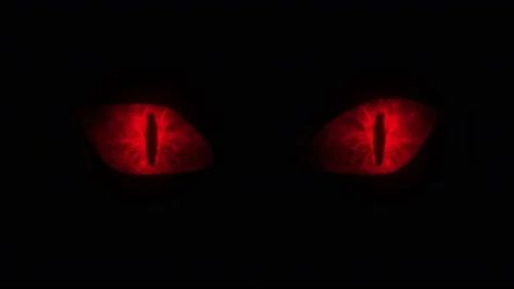 Red Anime Eyes Gif, Red Eyes Aesthetic, Dark Red Eyes, Eyes Blinking, Red Glowing Eyes, Red Eyes Anime, Bat Eyes, Glowing Red Eyes, Vampire Eyes