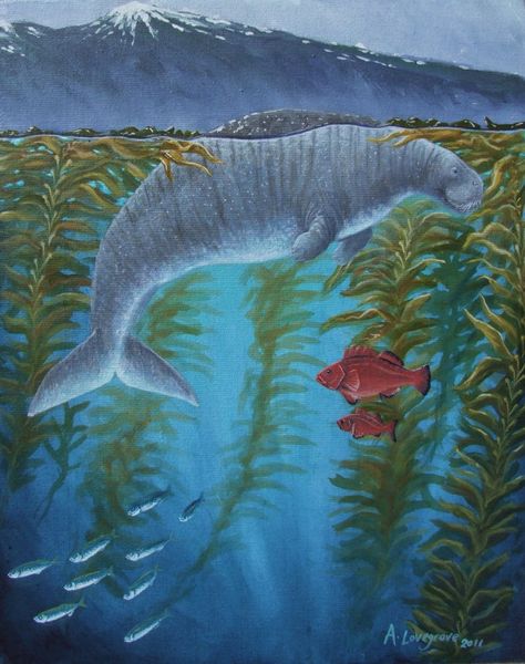 Steller's Sea Cow, Sea Snails, Sea Cow, Weird Plants, Kelp Forest, Sea Snail, Extinct Animals, Prehistoric Creatures, Scientific Illustration