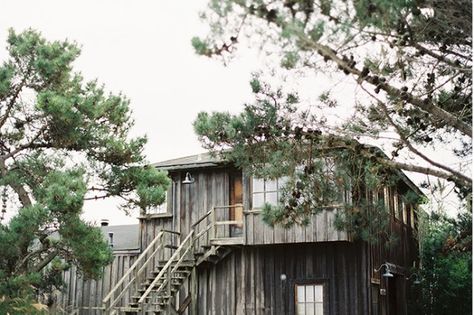 When the restaurant at Manka's Inverness Lodge in West Marin burned to the ground in 2006, devotees everywhere went into mourning. The good news is that the owners, Daniel DeLong and Margaret Grad, recently bought the nearby Olema Inn, where they will reprise their much-loved restaurant (even Prince Charles is a fan). Lodge Wedding, Inverness, Calla Lily, Northern California, California, Design