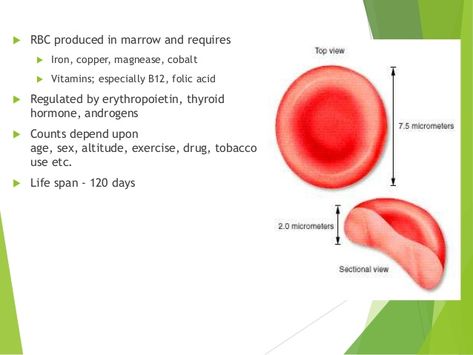 Interpretation of cbc Scanning Electron Micrograph, Technology Life, Teaching Biology, Healthy Advice, Thyroid Hormone, Organic Chemistry, Red Blood Cells, Blood Cells, Cardiology