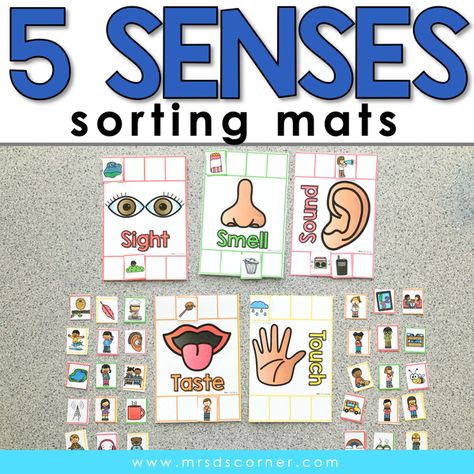 5 Senses Activity, Senses Activity, 5 Senses Activities, Senses Preschool, Work Bins, Interactive Calendar, Senses Activities, All About Me Preschool, Sorting Mats