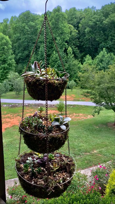 Vintags Three tier copper mesh fruit basket turnes to succulent garden 3 Tier Hanging Basket Ideas, Copper Wire Plant Hanger, Multi Tier Plant Hanger, Wire Basket Ideas, Crochet Tiered Hanging Basket, Copper Hanging Planter, 3 Tier Wire Basket, Tiered Fruit Basket, Metal Baskets