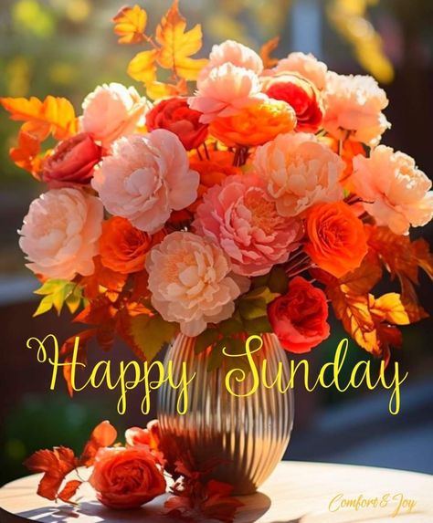 Sunday Morning Flowers, Good Morning Sunday Wishes, Sunday Fall, Good Morning Sunday, Sunday Greetings, Have A Blessed Sunday, Sunday Wishes, Sunday Photos, Morning Quotes Images