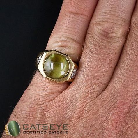 Take the astrological benefits by wearing ketu's stone cats eye ring @ http://catseye.org.in/benefits-wearing-cats-eye-gemstone/ Cats Eye Gem, Daylight Ring, Cat Eye Jewelry, Mens Ring Designs, Cats Eye Ring, Mens Gold Rings, Cats Eye, Men Diamond Ring, Put A Ring On It