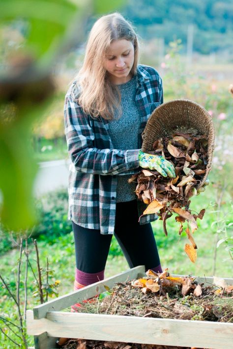 What Is Compost, Composting Food Scraps, Start Composting, Composting 101, Garden Shoot, Compost Pile, Composting Process, How To Make Compost, Eco Garden