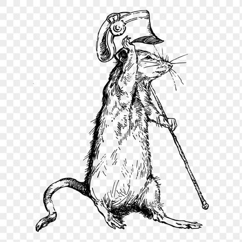 Rat Illustration, Mouse Sketch, Drawing Sticker, Hat Png, Public Domain Images, Free Png, Vintage Illustration, Rats, Public Domain