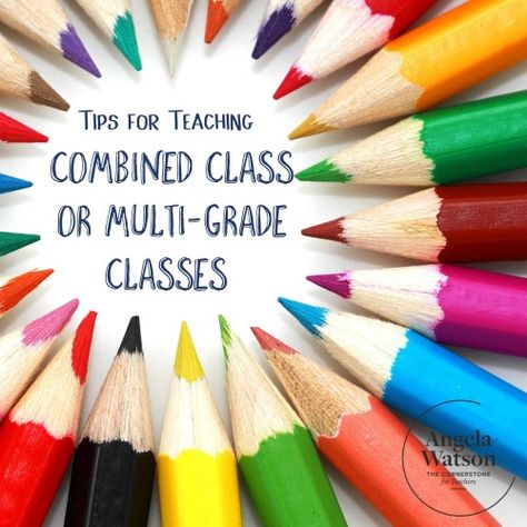 If you’re teaching a split class (multi-grade or combined class) and need advice on classroom management and organization, you’ve come to the right place! You’ll find practical tips from teachers who have taught in multi-level classrooms and combined classes at all different grade levels. Tips and tricks from teachers in combined class schools I’ve invited … Multiple Grade Level Classroom, Combined Classroom Ideas, Split Grade Classroom, Multi Grade Classroom, Multigrade Classroom, Education Organization, Education Motivation, Education Quotes For Teachers, Education Kindergarten