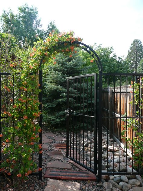 Honeysuckle covering arched gate Arch Garden Gate, Open Fence Ideas, Gate Arbor, Metal Gate Door, Arched Gate, Front Porch Landscape, Arch Gate, Iron Fencing, Exterior Balcony