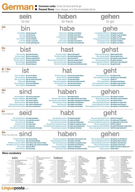 "Learn German - Common German Verbs" Posters by linguaposta | Redbubble German Verbs, Verbs Poster, German Phrases Learning, Verb To Have, Deutsch Language, Study German, German Study, German Phrases, Germany Language