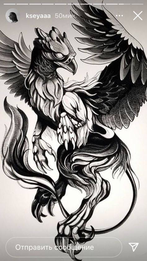 Blackwork Phoenix Tattoo, Phonex Tattoo Drawings, Mythical Tattoos Men, Hypogriff Tattoo, Mythology Tattoos Mythical Creatures, Griffin Tattoo Feminine, Tattoo Griffin, Griffin Tattoo Design, Harpy Tattoo