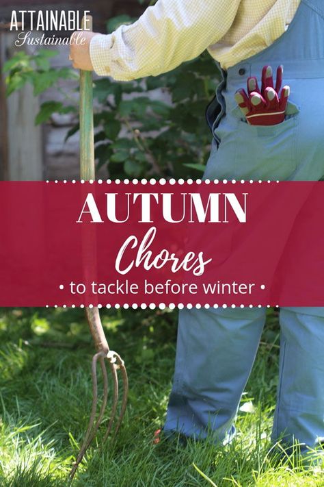 Handling fall clean up chores & preparing for one last garden crop makes autumn a busy time of year. Do these yard clean up chores before winter sets in. Attainable Sustainable, Fall Cleaning Checklist, Winter Sets, Fall Clean Up, Homestead Ideas, Fall Cleaning, Garden Plots, Homesteading Skills, Fall Garden Vegetables