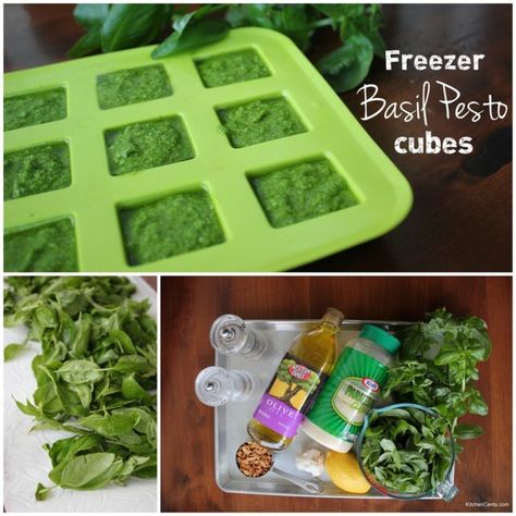 Freezer Basil Pesto Cubes | KitchenCents.com Pesto Cubes, Easy Basil Pesto Recipe, Easy Basil Pesto, Freezing Pesto, Basil Pesto Recipe, Basil Pesto Recipes, Basil Recipes, Low Carb Sauces, Pesto Recipe