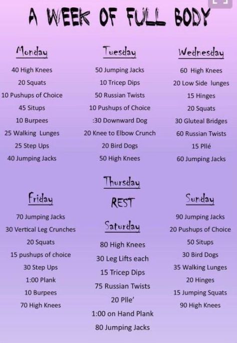 Vertical Leg Crunches, Weekly Workout Routines, Image Reference, Fitness Plan, Daily Exercise Routines, Everyday Workout, Weekly Workout, Health And Fitness Tips, A Workout