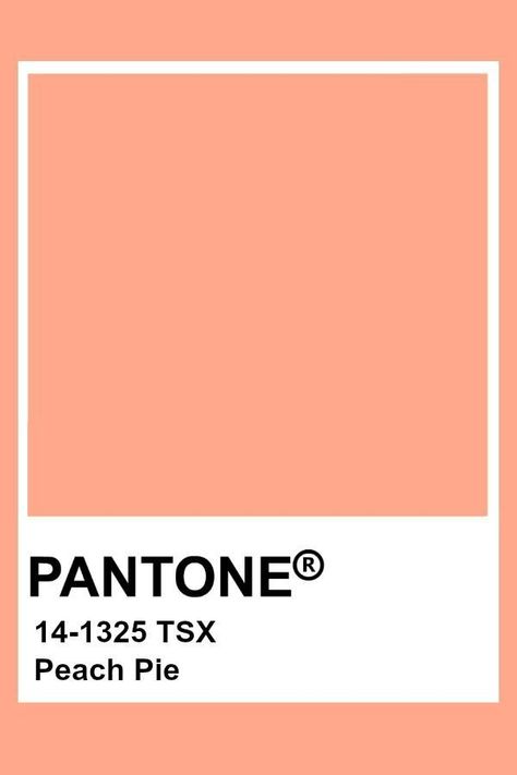 Pantone Peach Shades, Peach Pantone Color, Light Orange Pantone, Color Palettes For Home, Peach Pantone, Pantone Shades, Home Color Ideas, Orange Pantone, Pink Pantone