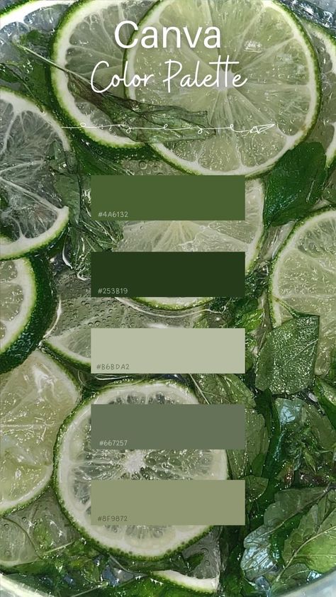 Cool Color Pallets, Aesthetic Colors Palettes, Cute Colour Palette, 3 Colour Palette, Aesthetic Colour Palette, Aesthetic Color Palettes, Canva Color Palette, Canva Colors, Flat Color Palette