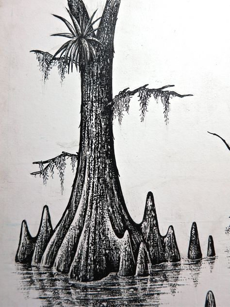 Bayou Tree | by Stampscapes Swamp Aesthetic Drawing, Cypress Trees Drawing, Swamp Trees Drawing, Bayou Drawing, Everglades Tattoo, Bayou Tattoo, Swamp Tattoo Ideas, Cypress Tree Drawing, Louisiana Tattoos