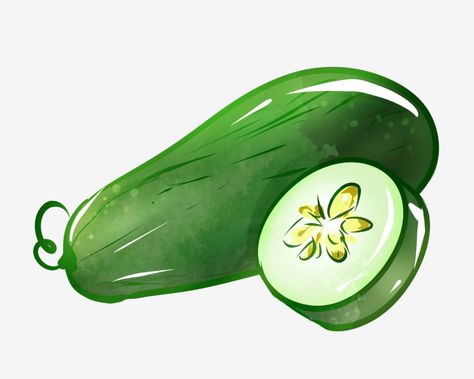 Green Fruits And Vegetables, Picture Green, Green Melon, Green Png, Winter Melon, Drinks Design, Healthy Fruits, Flower Border