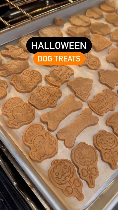 Halloween will be here soon 🎃 these dog treats are cute for trick or treating! If you’re a dog bakery, time to start planning your Halloween treats, pricing and packaging! 👻 #halloween #halloweendog #halloweendogtreats #dogtreats #pumpkindogtreats #halloweencookies #halloweentreats #halloweencookiecutters #halloweentreats🎃 Sell Dog Treats, Dog Treat Business, Halloween Packaging, No Bake Dog Treats, Dog Treat Packaging, Halloween Dog Treats, Treat Business, Pet Treats Recipes, Dog Treats Homemade Easy