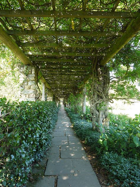 Overhead Trellis Pathway Trellis Pathway, Overhead Trellis, Family Mansion, Yellow Houses, Trellis Design, Abandoned Mansions, Modern Cottage, Italian Wedding, Design Museum