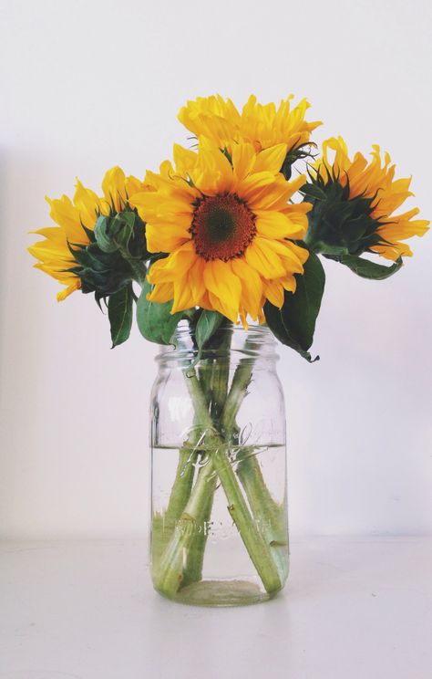 Sunflowers In Mason Jars, Sunflower In Mason Jar, Sunflower In Vase, Sunflower Mason Jar, Pixel Wallpaper, Sunflower Vase, Flower Sunflower, Sunflower Photo, Sunflower Pictures