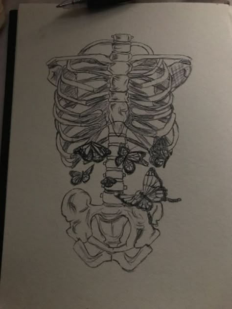 Xray Butterfly In Stomach, Butterflies In Skeleton Stomach, Ribcage With Butterflies Drawing, Butterfly Lungs Drawing, Ribs With Butterflies Drawing, Lungs With Butterflies, Butterflies In Stomach Painting, Butterflies In Stomach Sketch, Skeleton With Butterflies In Stomach Drawing