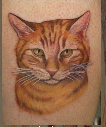 cat Cat Portrait Tattoo, Tattoo Gato, Cat Portrait Tattoos, Map Tattoo, Cat Tatto, Remembrance Tattoos, Cat Tat, Cat Tattoos, Cat Tattoo Designs