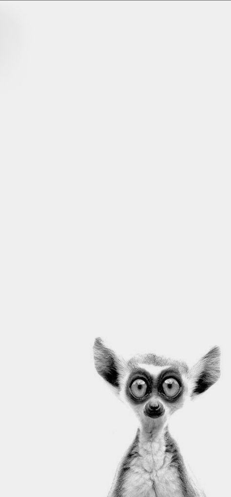 Black And White Funny Pictures, Ios 11 Wallpaper, Light Science, Deadpool Wallpaper, Drawing Sheet, Wallpaper Iphone Neon, Ipad Background, Photo Vintage, Black And White Posters