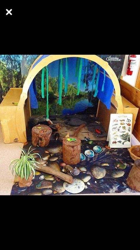 Reading Arch, Natural Childcare Environments, Natural Book Corner Eyfs, Reggio Emilia Cozy Corner, Ece Outdoor Environments, Outdoor Early Childhood Environments, Indoor Nature, Early Learning Environments, Forest Classroom