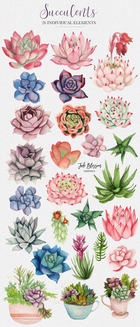 Wedding Watercolor Painting Cards Diy, Watercolor Succulent Paintings, How To Draw Succulents, Floral Digital Art, Watercolor Illustration Ideas, Watercolor Cactus Paintings, Succulent Drawings, Succulent Art Drawing, Succulent Drawing