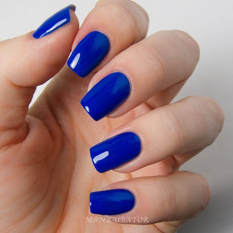 Twyla Dior Gris, Spring Nails Inspiration, Cobalt Blue Nails, Pro Nails, Aqua Nails, Dior Rouge, Neon Nail Polish, Amazing Nails, Classy Acrylic Nails