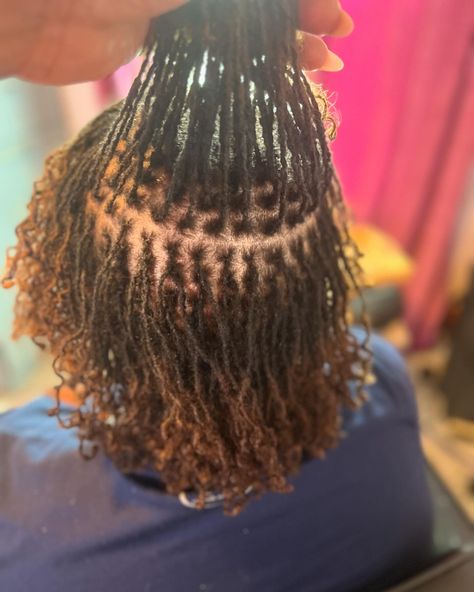 📸✨ Who’s ready to start their Microlocks journey? 🌟 Microlocks might be the perfect fit for you! Join the community of confident, beautiful people embracing their natural hair with Microlocks. Your journey to fabulous hair starts now! Are you in? 🌺 Dm me to book your consultation. 🦋 #Microlocks #NaturalHair #HairJourney #ProtectiveStyles #Beauty #HairGoals #NewLook #locs #locstyles #microlocs #microlocks #naturalhair #locnation #microlocsjourney #blissfulcreations4u Ombre Microlocs, People Embracing, Micro Locs, Dye Hair, Fabulous Hair, Hair Starting, Locs Hairstyles, Loc Styles, Hair Journey