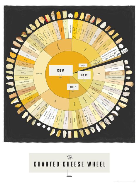 For knowing more types of cheese than anyone else: | 13 Helpful Diagrams For People Who Only Care About Cheese Different Cheeses, Cheese Wheel, Pop Chart, Queso Cheddar, Havarti, Kinds Of Cheese, Types Of Cheese, Monterey Jack, Food Info