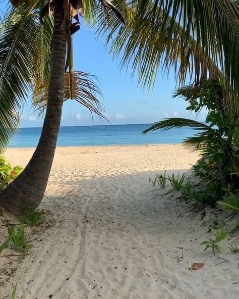 Escambron Beach Puerto Rico, Flamenco Beach Puerto Rico, Culebra Puerto Rico, Title Ideas, Beach Place, Tropical Island, 2024 Vision, Tropical Islands, Pretty Places