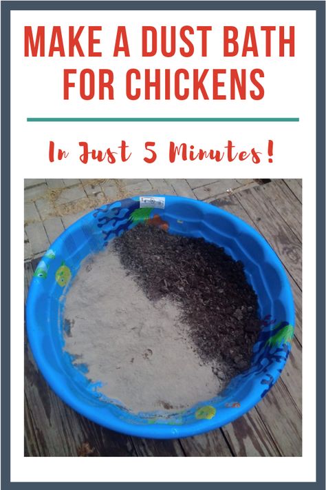 Wondering "do chickens like water baths more than dust baths?" Here's all about chicken dust baths! Dirt Bath Chickens, Diy Chicken Dirt Bath, Chicken Bath Ideas, Chicken Dirt Bath Ideas, Chicken Coop Toys Ideas Diy, All About Chickens, Best Chicken Waterer, Dirt Bath For Chickens, Diy Dust Bath For Chickens