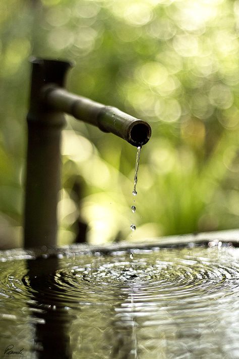 ZEN Zen Moments, Drops Of Water, Buddha Zen, Zen Buddhism, Zen Meditation, Photo Images, Zen Garden, Japanese Garden, Water Garden