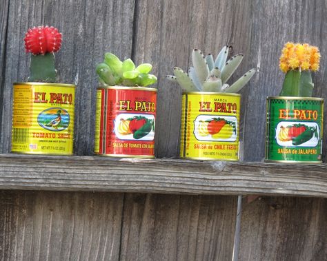 Mexican Party Favors, Succulent Party Favors, Mexican Bridal Showers, Mexican Party Decorations, Fiesta Bridal Shower, Mexican Party Theme, Fiesta Decorations, Unique Centerpieces, Kitchen Decor Themes