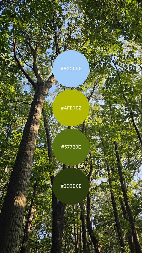 Green And Brick Color Palette, Dark Forest Palette, Green Apple Color Palette, Spring Forest Color Palette, Cedar Color Palette, Gym Colour Palette, Dark Green Pallete, Sustainability Color Palette, Fern Green Color Palette