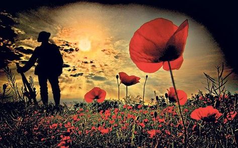 Remembrance Day Pictures, Remembrance Day Art, Ww1 Art, Soldier Silhouette, Remembrance Day Poppy, Remembrance Tattoos, Military Tattoos, Poppies Tattoo, Armistice Day