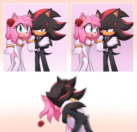 Shadamy Comics, Sonamy Comic, Shadow And Amy, Amy The Hedgehog, Sonic Heroes, Sonic And Amy, Sonic Funny, Sonic Fan Characters, Sonic Adventure