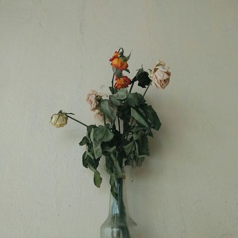 aesthetic withered flowers  #flowers #vintageflowers #photography #witheredflowers #aesthetic #aestheticflowers Crushed Flowers Aesthetic, Dead Plants Aesthetic, Withered Flower Aesthetic, Old Flowers Aesthetic, Wilted Flowers Aesthetic, Dead Flowers Aesthetic, Rotten Flowers, Withered Flower, Dead Flowers