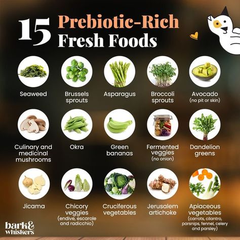 bark & whiskers on Instagram: "Offering your pet prebiotic-rich foods can help naturally build their microbiome and make their gut health resilient. 🙌 Here are some of the prebiotic-rich foods that you can add into their meals or offer as a treat. ⬇️ Check out the link in our bio to learn more about the benefits of prebiotics to pets. https://bit.ly/3GGKLHP #barkandwhiskers" High Prebiotic Foods, Prebiotic Rich Foods, Pre Biotic Foods, Prebiotic Foods List, Dog Gut Health, Post Biotics, Pre Biotics, Best Prebiotic Foods, Holistic Eating